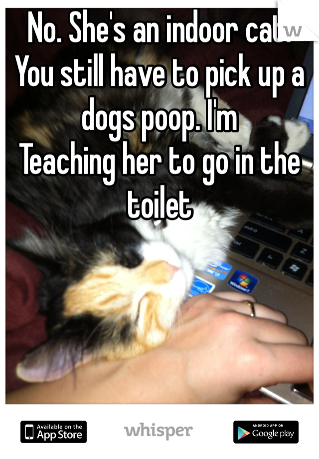 No. She's an indoor cat. You still have to pick up a dogs poop. I'm
Teaching her to go in the toilet