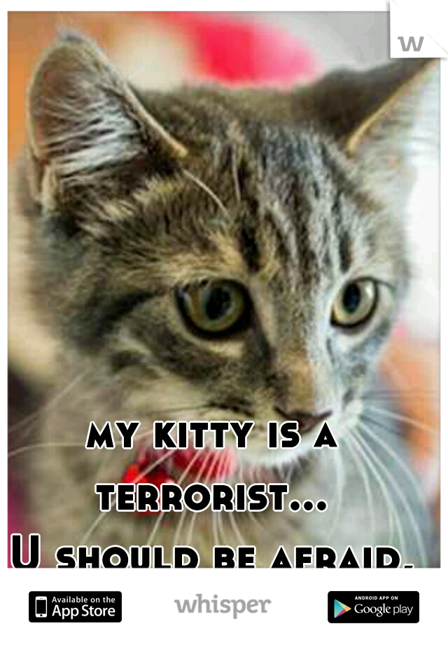 my kitty is a terrorist... 

U should be afraid, be vary afraid :)