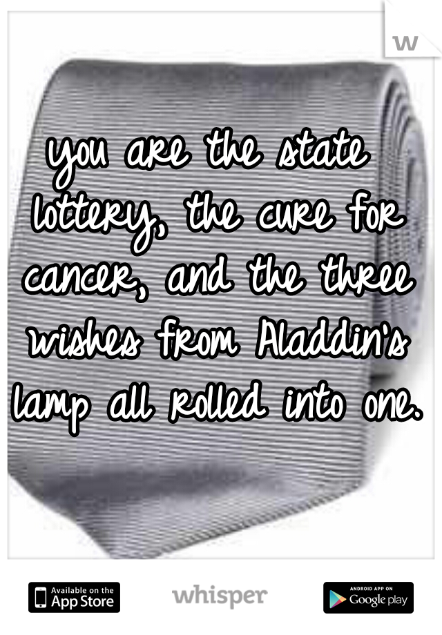 you are the state lottery, the cure for cancer, and the three wishes from Aladdin's lamp all rolled into one. 