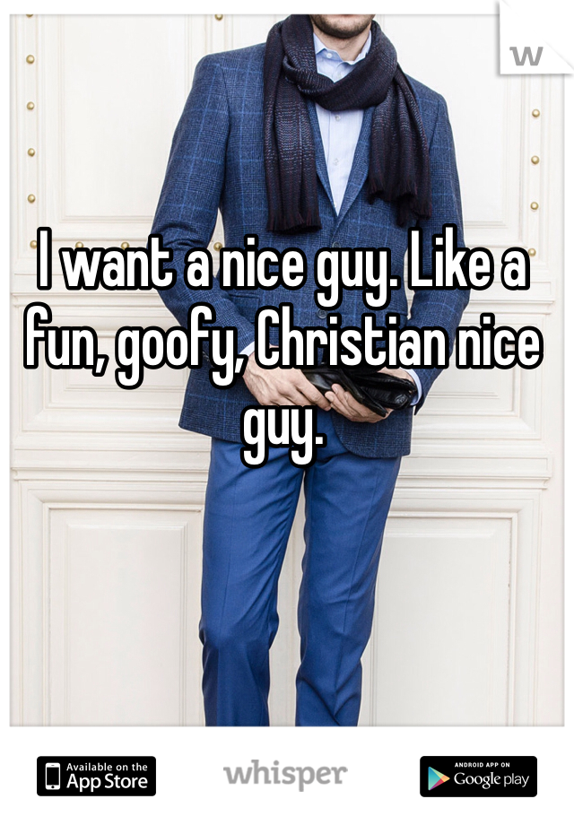 I want a nice guy. Like a fun, goofy, Christian nice guy. 