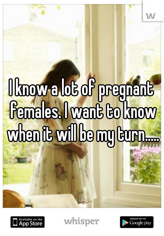 I know a lot of pregnant females. I want to know when it will be my turn.....