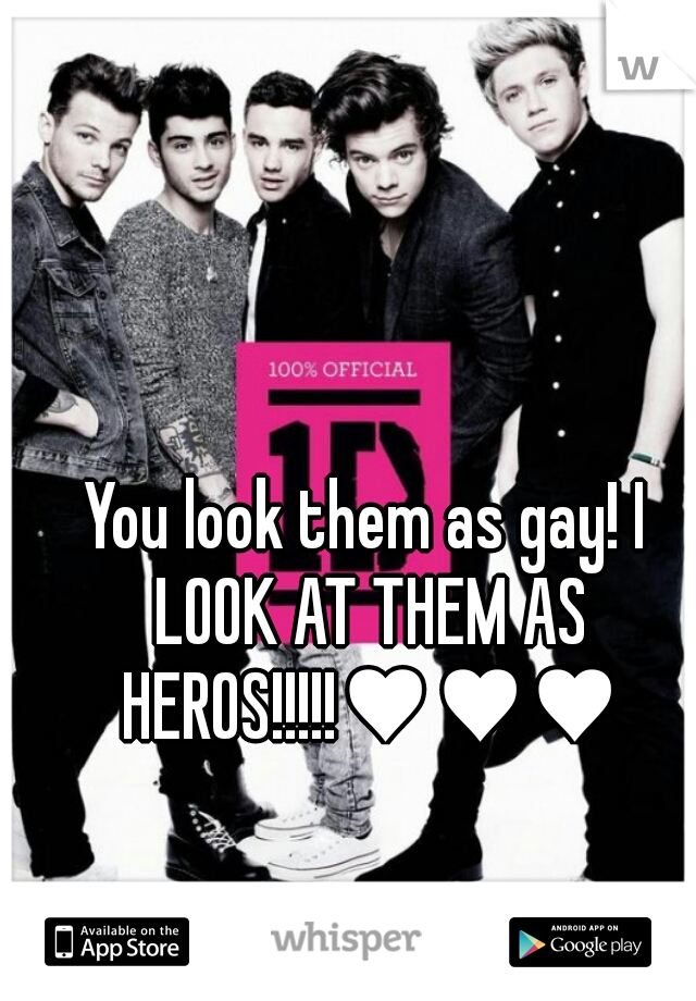You look them as gay! I LOOK AT THEM AS HEROS!!!!!♥♥♥