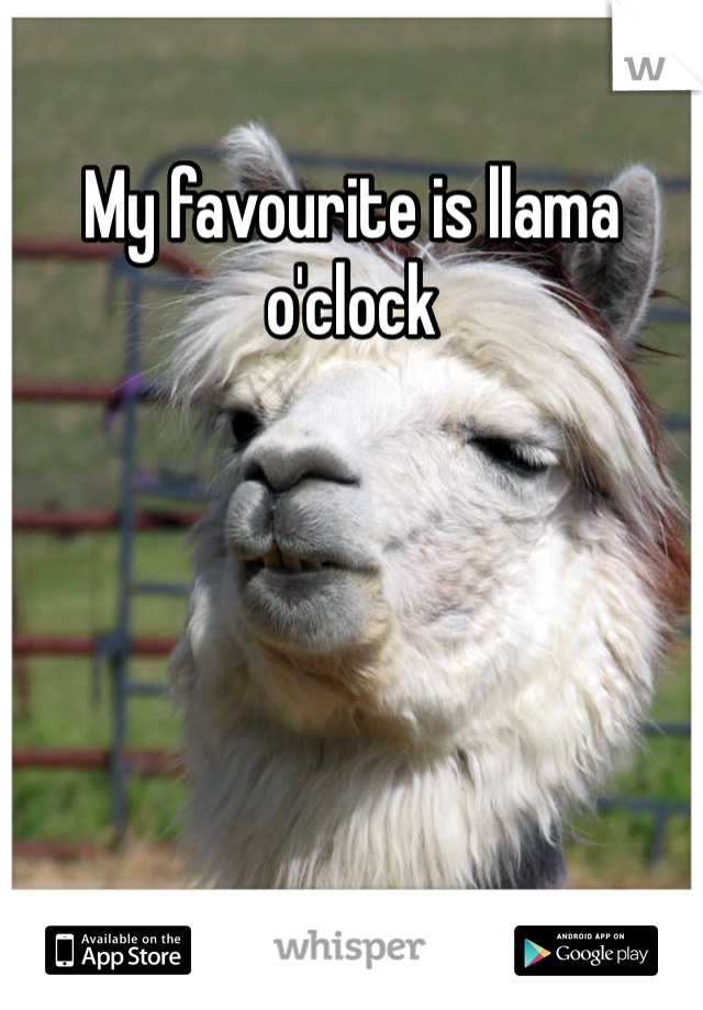 My favourite is llama o'clock 