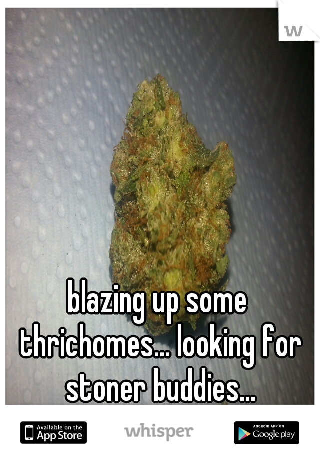 blazing up some thrichomes... looking for stoner buddies...
show me a pic of your bud..
