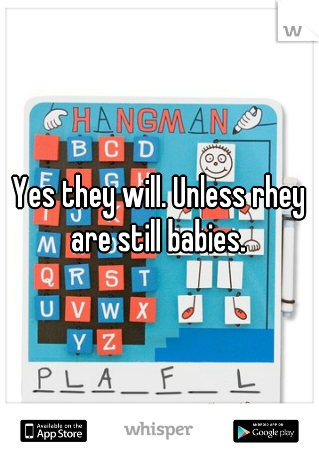 Yes they will. Unless rhey are still babies. 