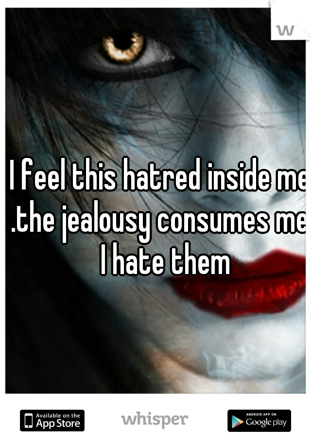 I feel this hatred inside me. .the jealousy consumes me.  I hate them