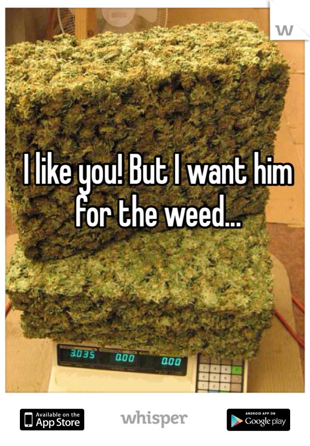 I like you! But I want him for the weed...