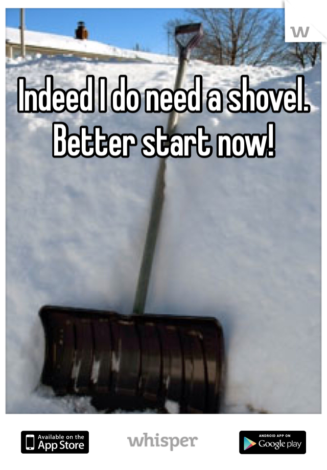 Indeed I do need a shovel. Better start now!