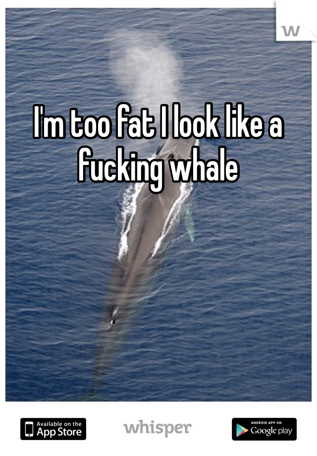 I'm too fat I look like a fucking whale