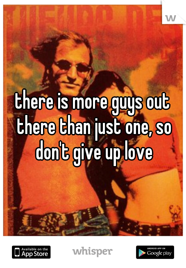 there is more guys out there than just one, so don't give up love