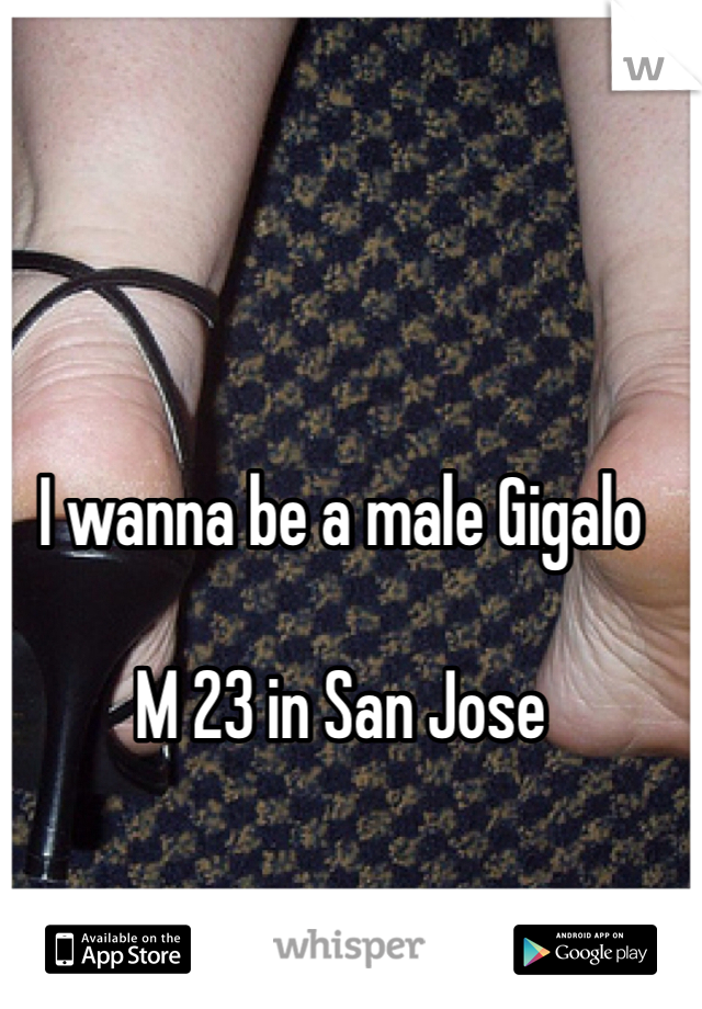 I wanna be a male Gigalo 

M 23 in San Jose 
