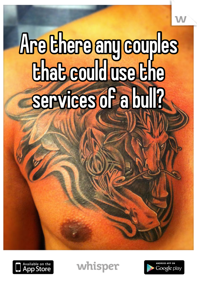 Are there any couples that could use the services of a bull?