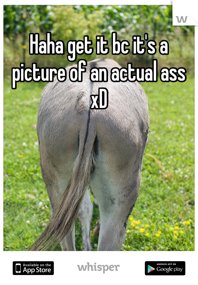 Haha get it bc it's a picture of an actual ass xD 