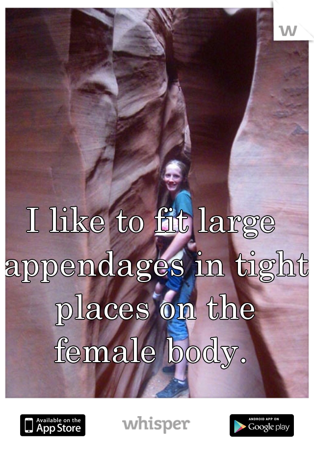 I like to fit large appendages in tight places on the female body. 

 