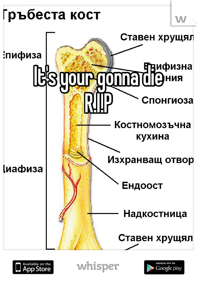 It's your gonna die 
R.I.P