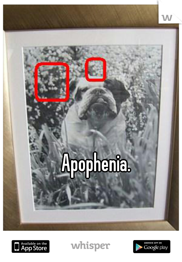 Apophenia.