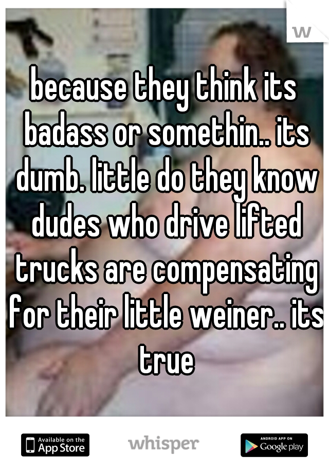because they think its badass or somethin.. its dumb. little do they know dudes who drive lifted trucks are compensating for their little weiner.. its true