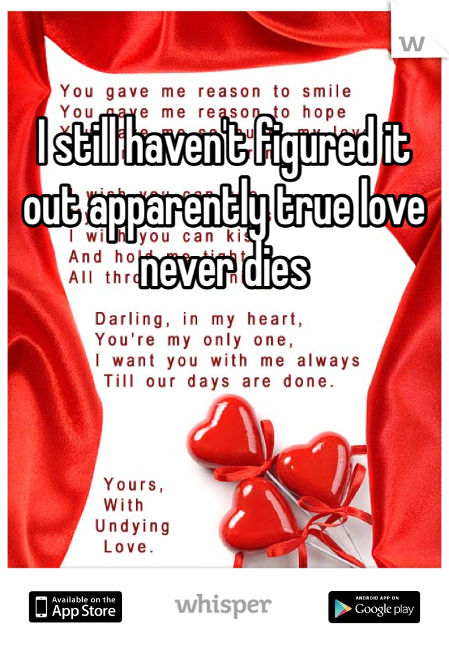 I still haven't figured it out apparently true love never dies 