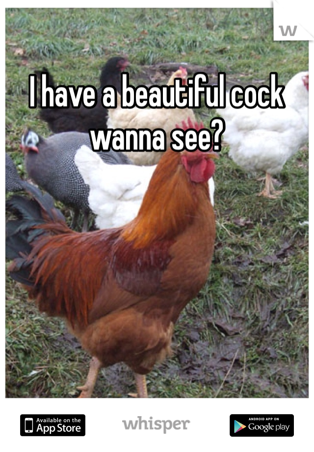 I have a beautiful cock wanna see?