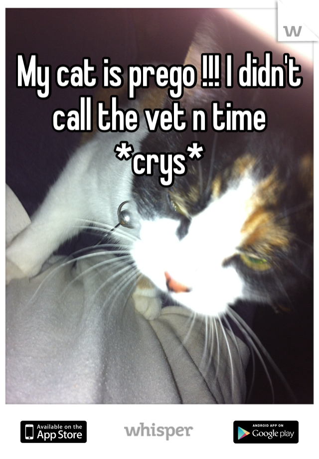 My cat is prego !!! I didn't call the vet n time *crys*  