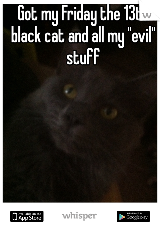 Got my Friday the 13th black cat and all my "evil" stuff