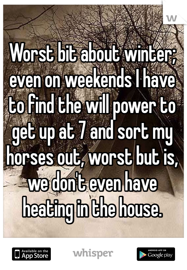 Worst bit about winter; even on weekends I have to find the will power to get up at 7 and sort my horses out, worst but is, we don't even have heating in the house.