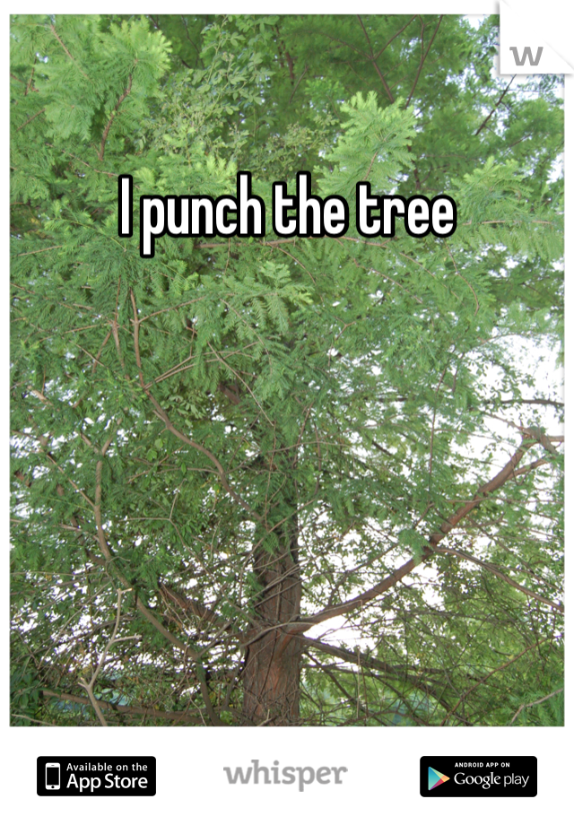 I punch the tree