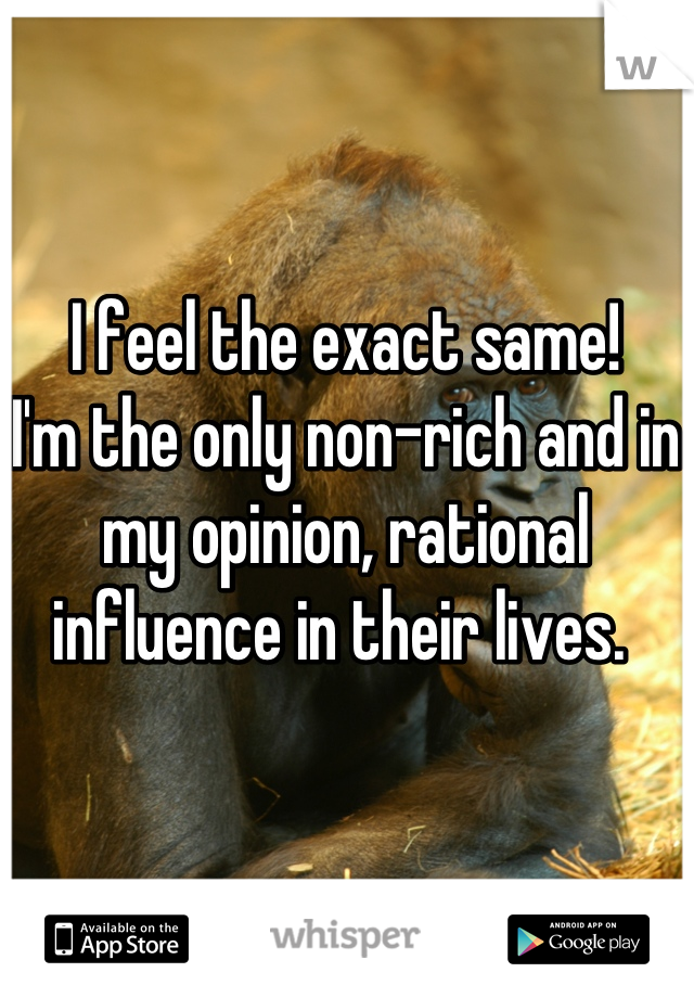 I feel the exact same! 
I'm the only non-rich and in my opinion, rational influence in their lives. 