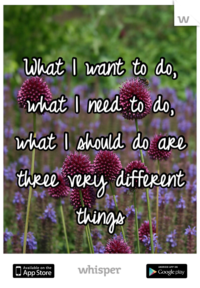 What I want to do, what I need to do, what I should do are three very different things
