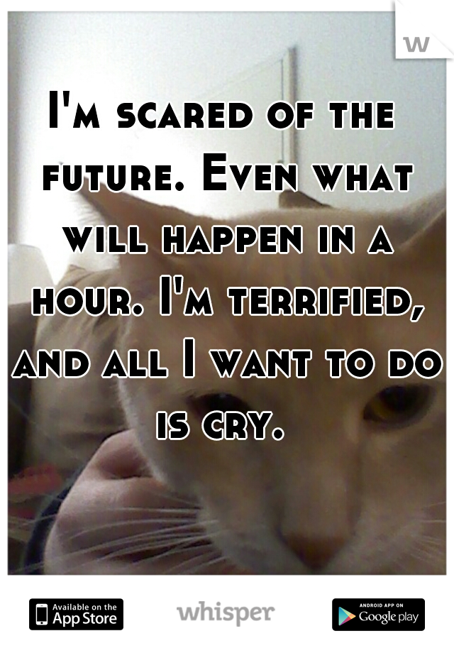 I'm scared of the future. Even what will happen in a hour. I'm terrified, and all I want to do is cry. 