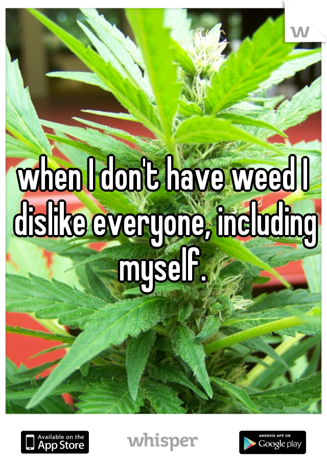 when I don't have weed I dislike everyone, including myself. 