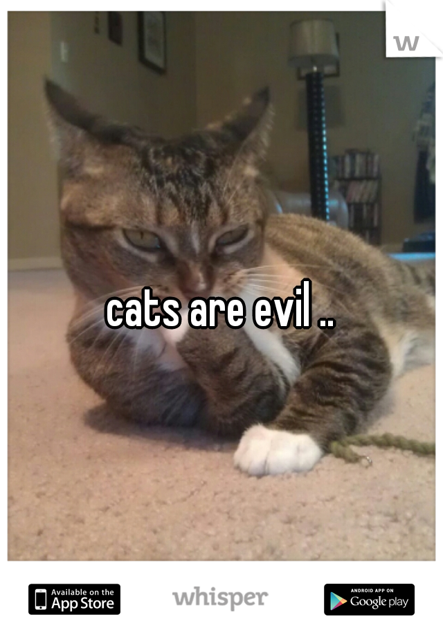 cats are evil ..