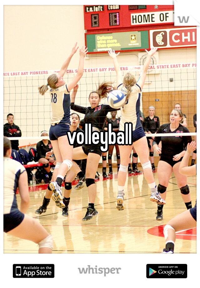 volleyball
