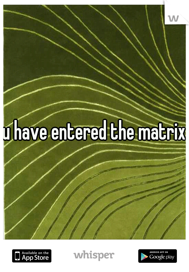 u have entered the matrix