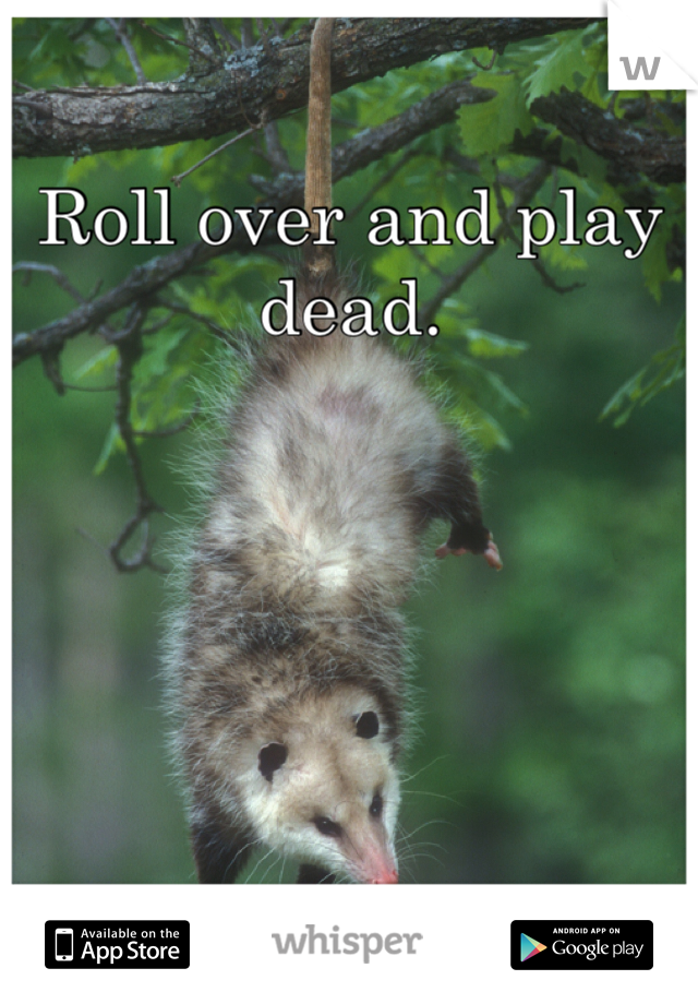 Roll over and play dead.