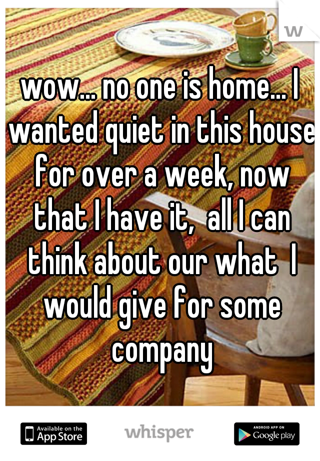 wow... no one is home... I wanted quiet in this house for over a week, now that I have it,  all I can think about our what  I would give for some company