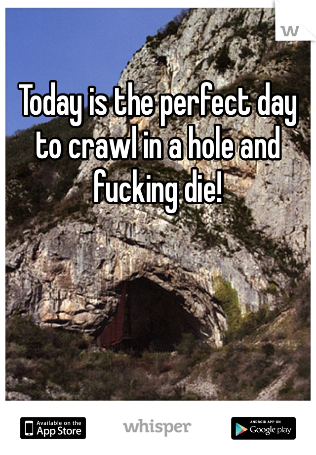 Today is the perfect day to crawl in a hole and fucking die!