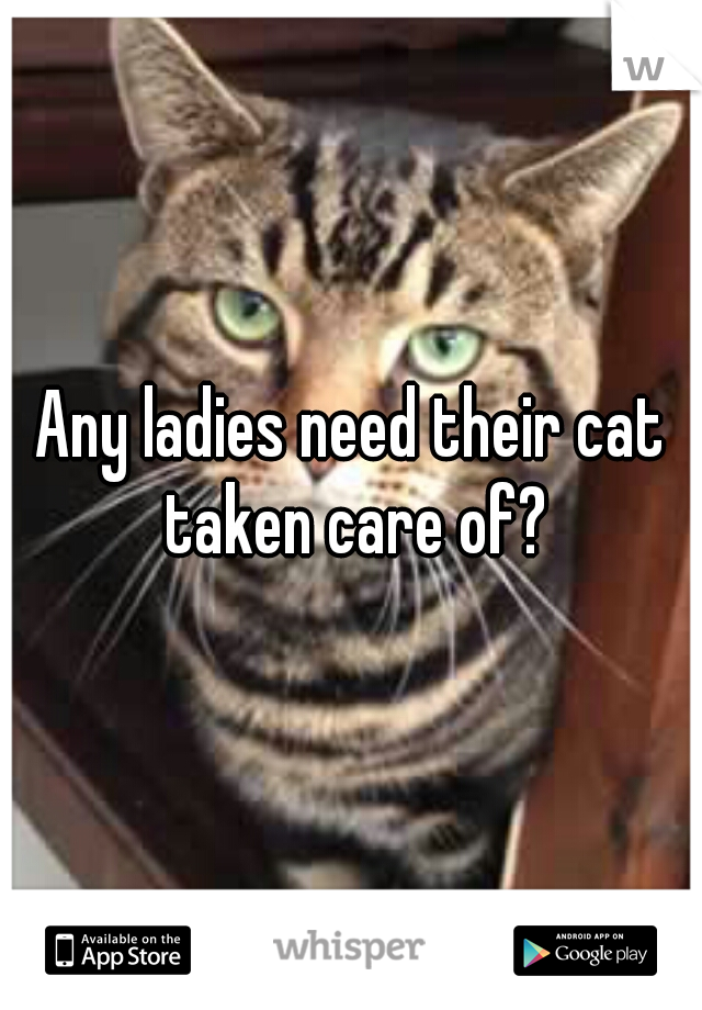 Any ladies need their cat taken care of?