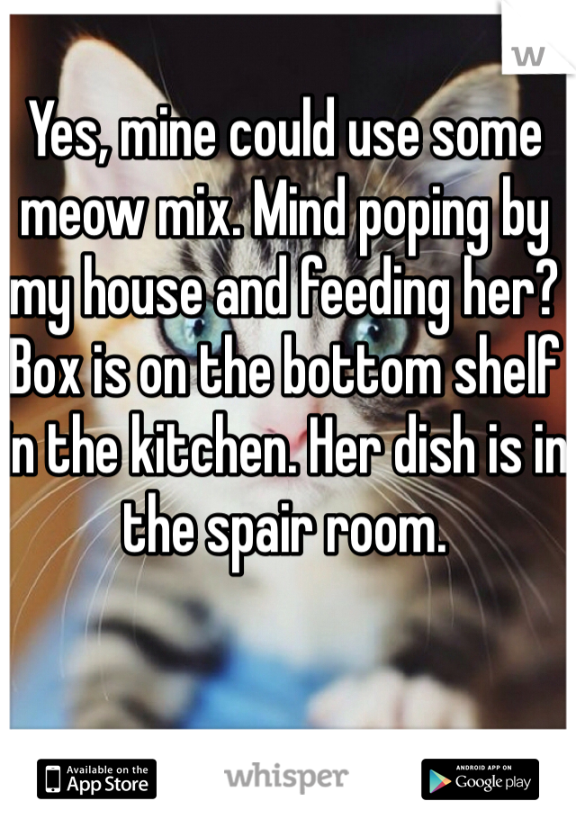 Yes, mine could use some meow mix. Mind poping by my house and feeding her? Box is on the bottom shelf in the kitchen. Her dish is in the spair room.