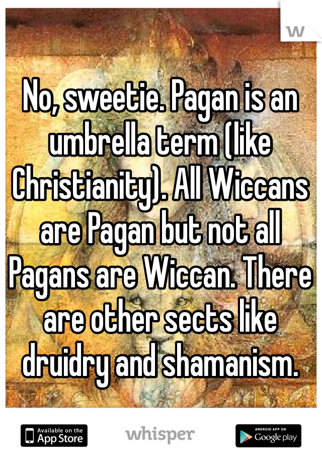 No, sweetie. Pagan is an umbrella term (like Christianity). All Wiccans are Pagan but not all Pagans are Wiccan. There are other sects like druidry and shamanism. 
