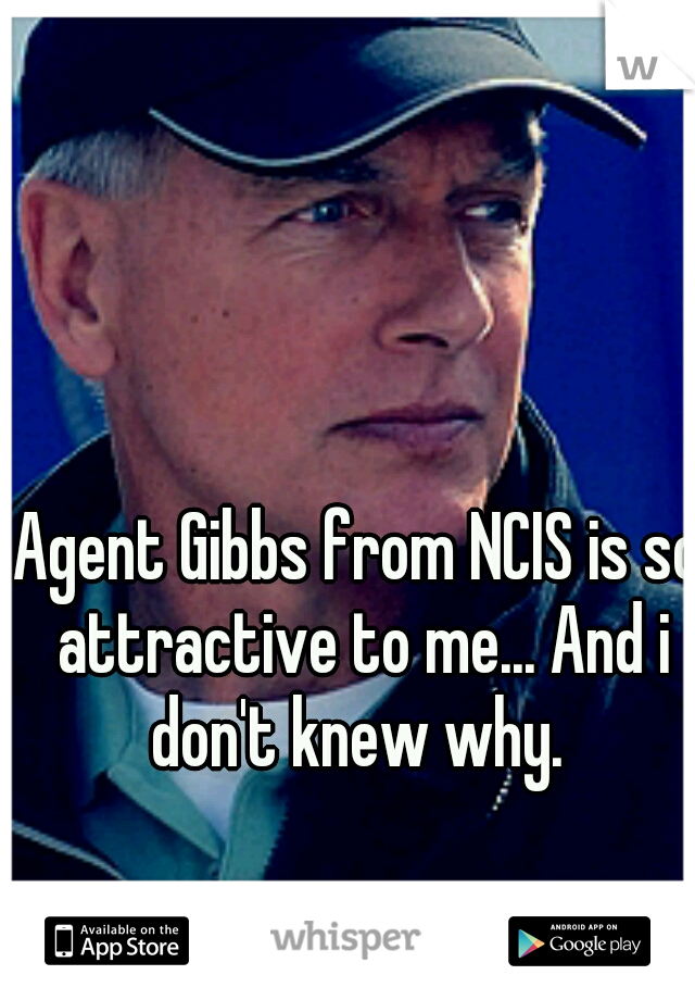 Agent Gibbs from NCIS is so attractive to me... And i don't knew why. 