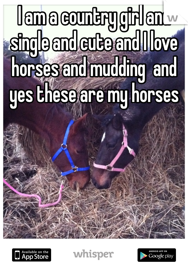I am a country girl and single and cute and I love horses and mudding  and yes these are my horses 