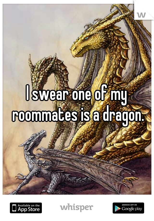 I swear one of my roommates is a dragon.