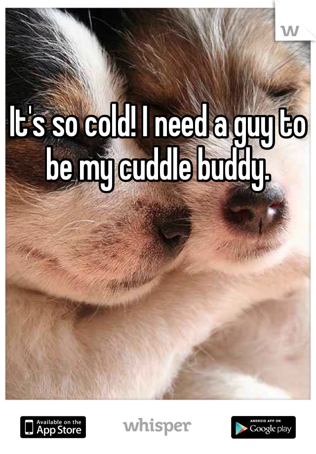 It's so cold! I need a guy to be my cuddle buddy. 