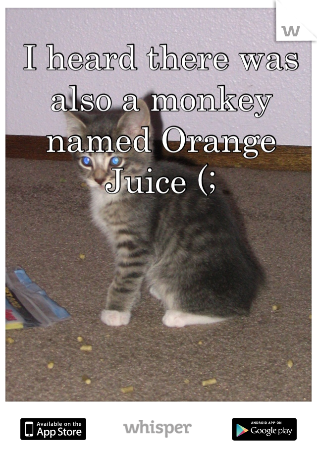 I heard there was also a monkey named Orange Juice (;