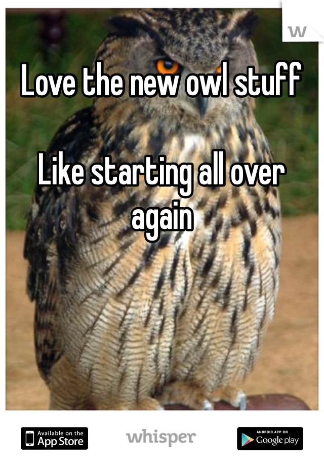 Love the new owl stuff

Like starting all over again 