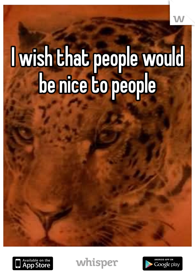 I wish that people would be nice to people
