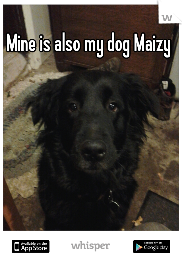 Mine is also my dog Maizy