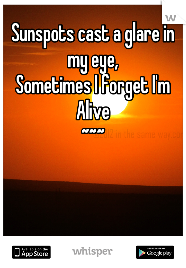 Sunspots cast a glare in my eye, 
Sometimes I forget I'm Alive
~~~