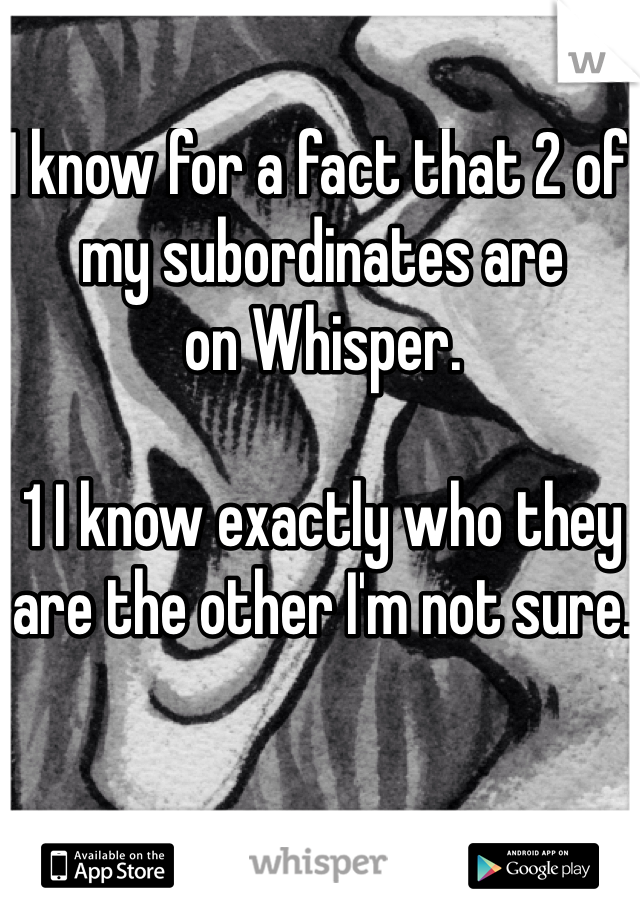 I know for a fact that 2 of my subordinates are
on Whisper.

1 I know exactly who they are the other I'm not sure. 